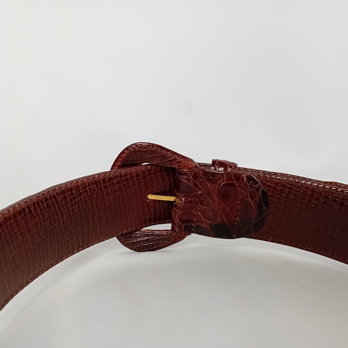 Coccodrillo cintura