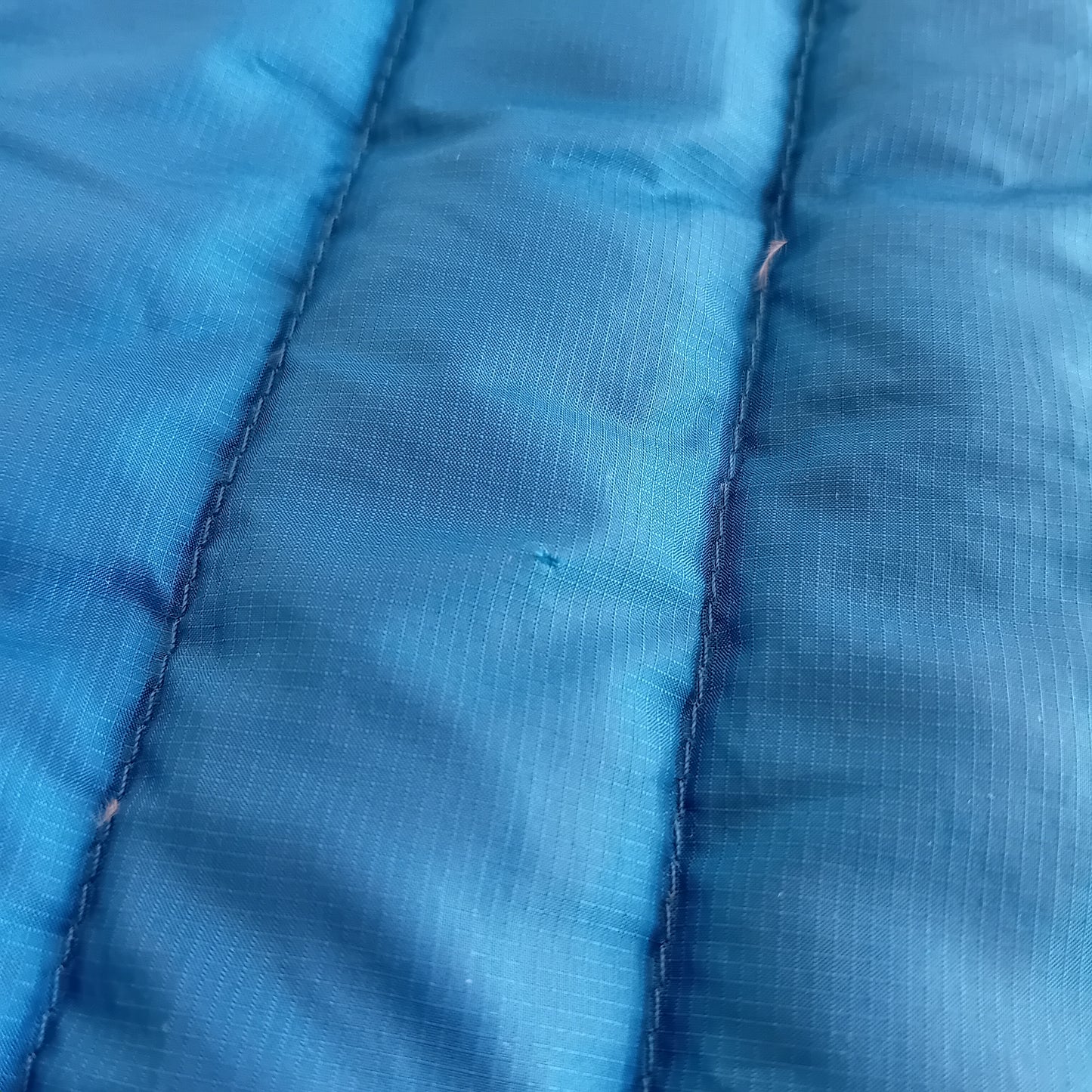 Patagonia blue jacket