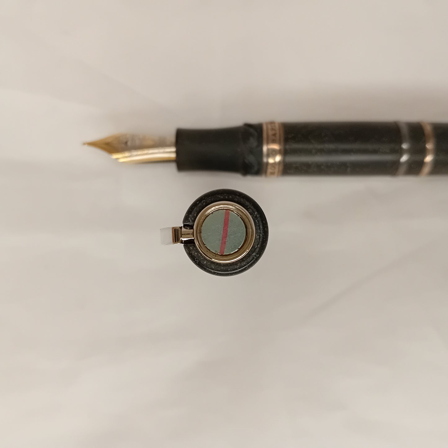 Penna stilografica Visconti Homo Sapiens