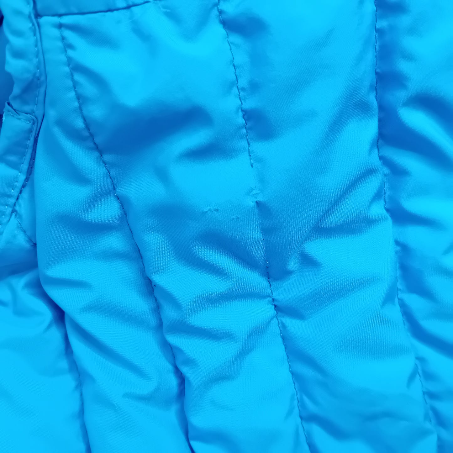 Patagonia blue jacket