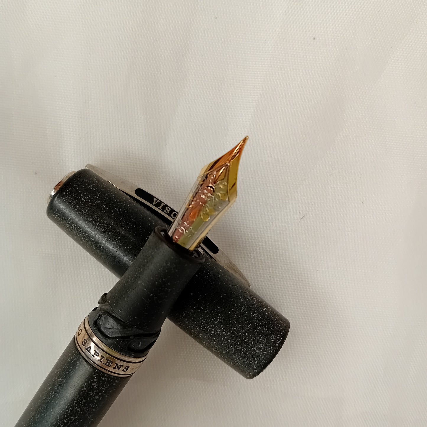 Penna stilografica Visconti Homo Sapiens