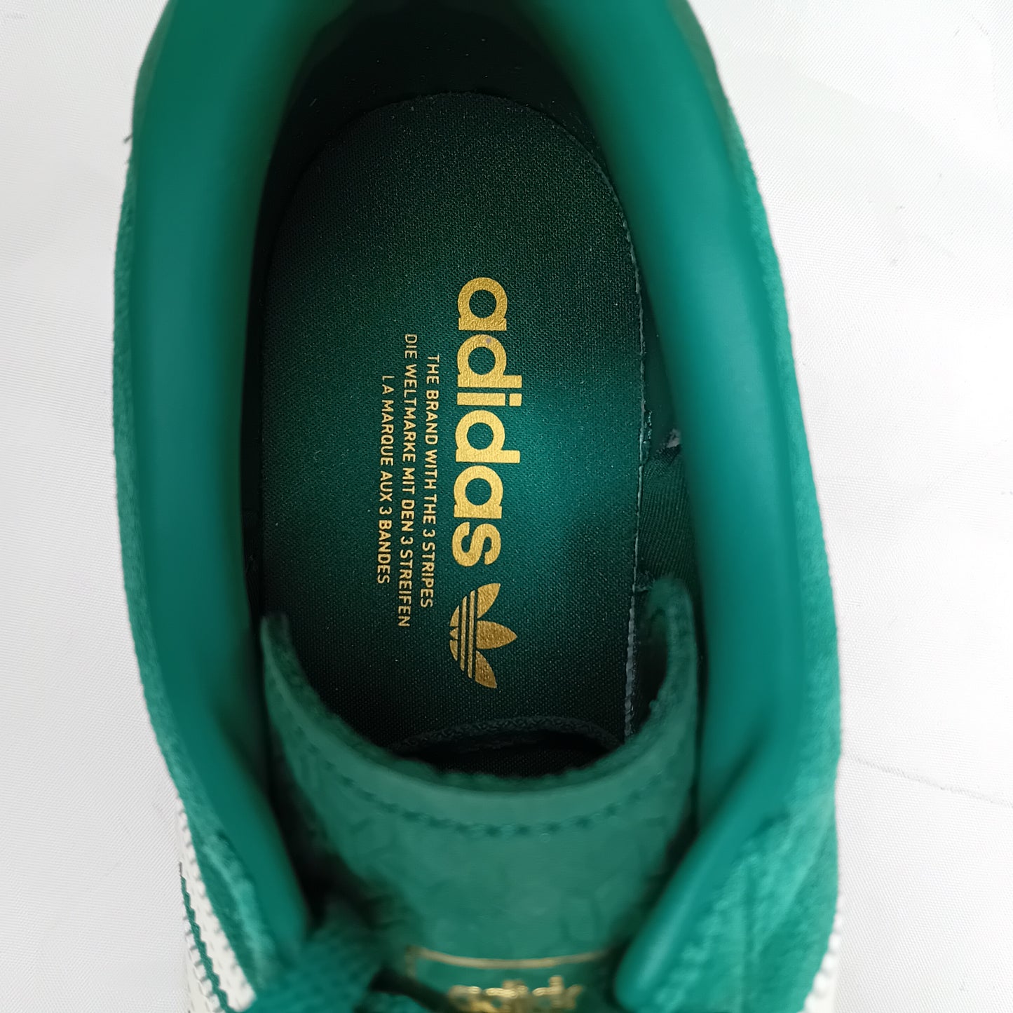 Gazelle verdi