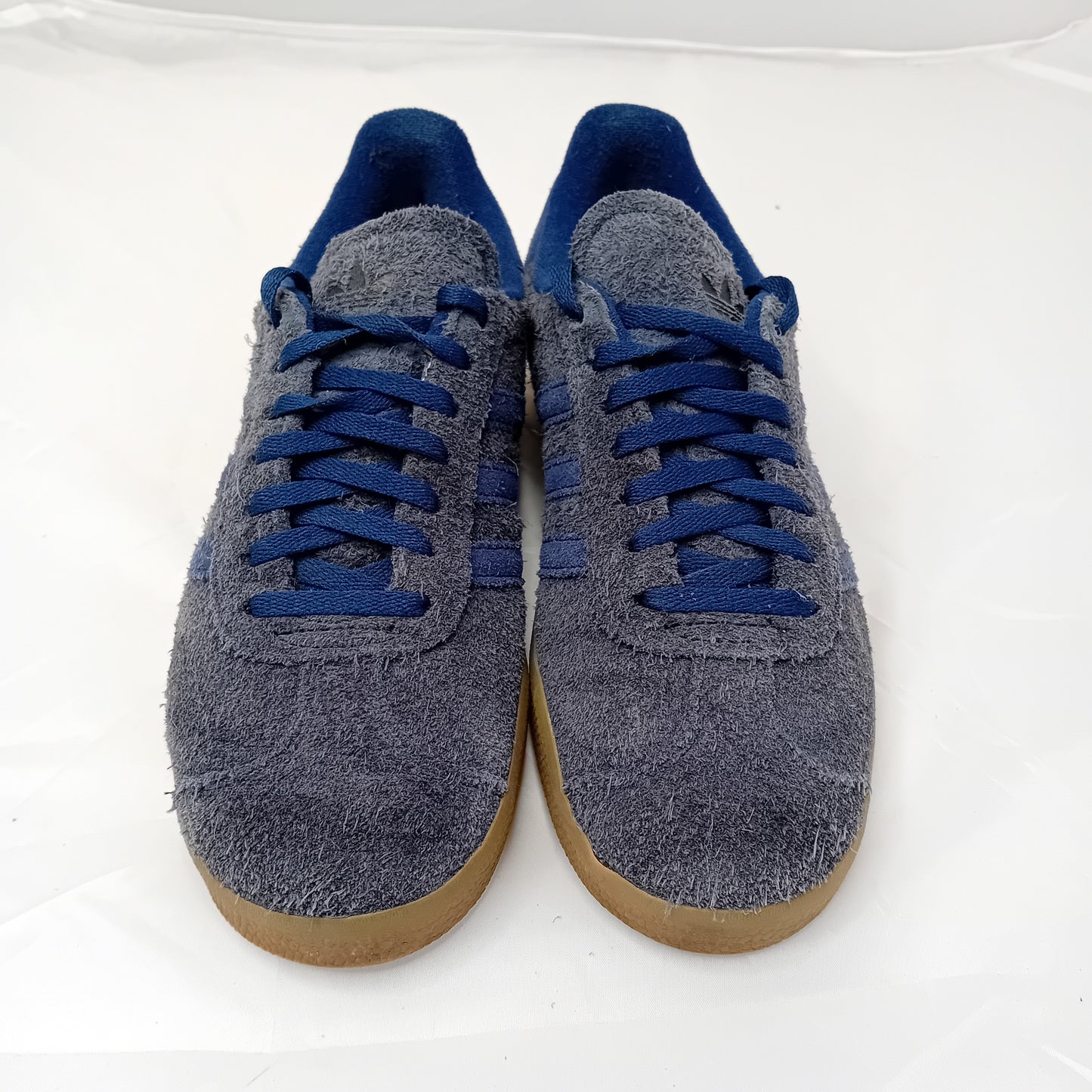 Gazelle blu