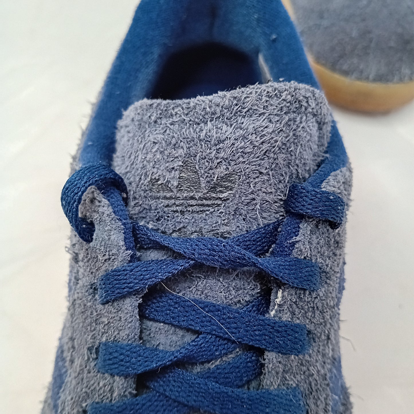 Gazelle blu