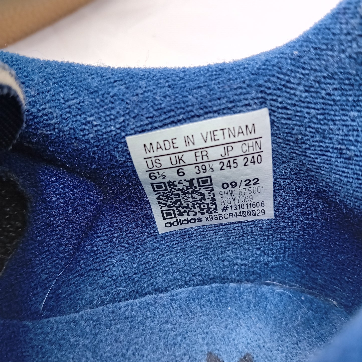 Gazelle blu