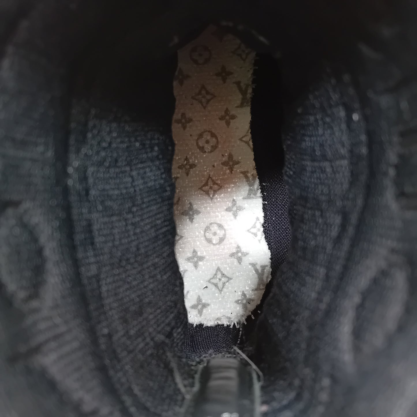 Louis Vuitton sneakers